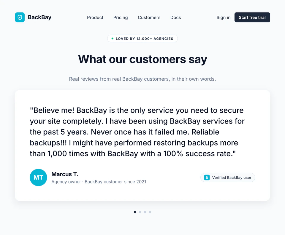 Illustrative landing-page testimonial using a customer review about reliable backups